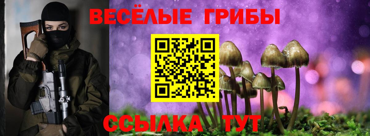 Северобайкальск  Галлюциногенные грибы мухоморы  Псилоцибиновые грибы Cubensis  цена наркотик  Вход с VPN 